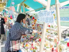 包含社区盾倒计时，洛杉矶快船加时末段复出首秀，细节引发关注，信心回归，更衣室氛围转暖的词条